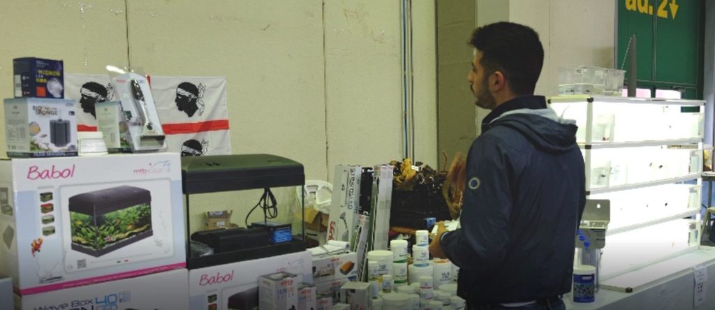 Fiere di rettili Corona Virus