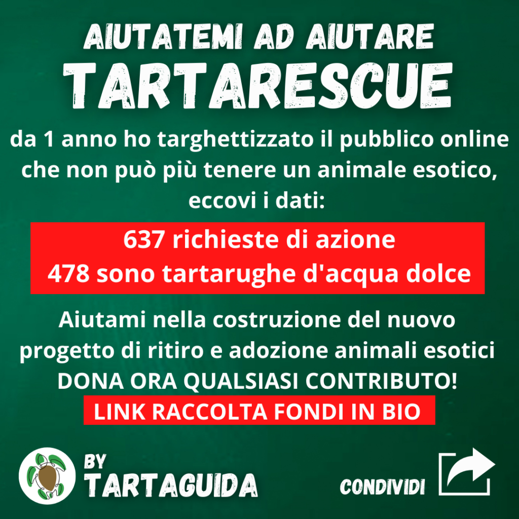 donazioni associazioni animali
