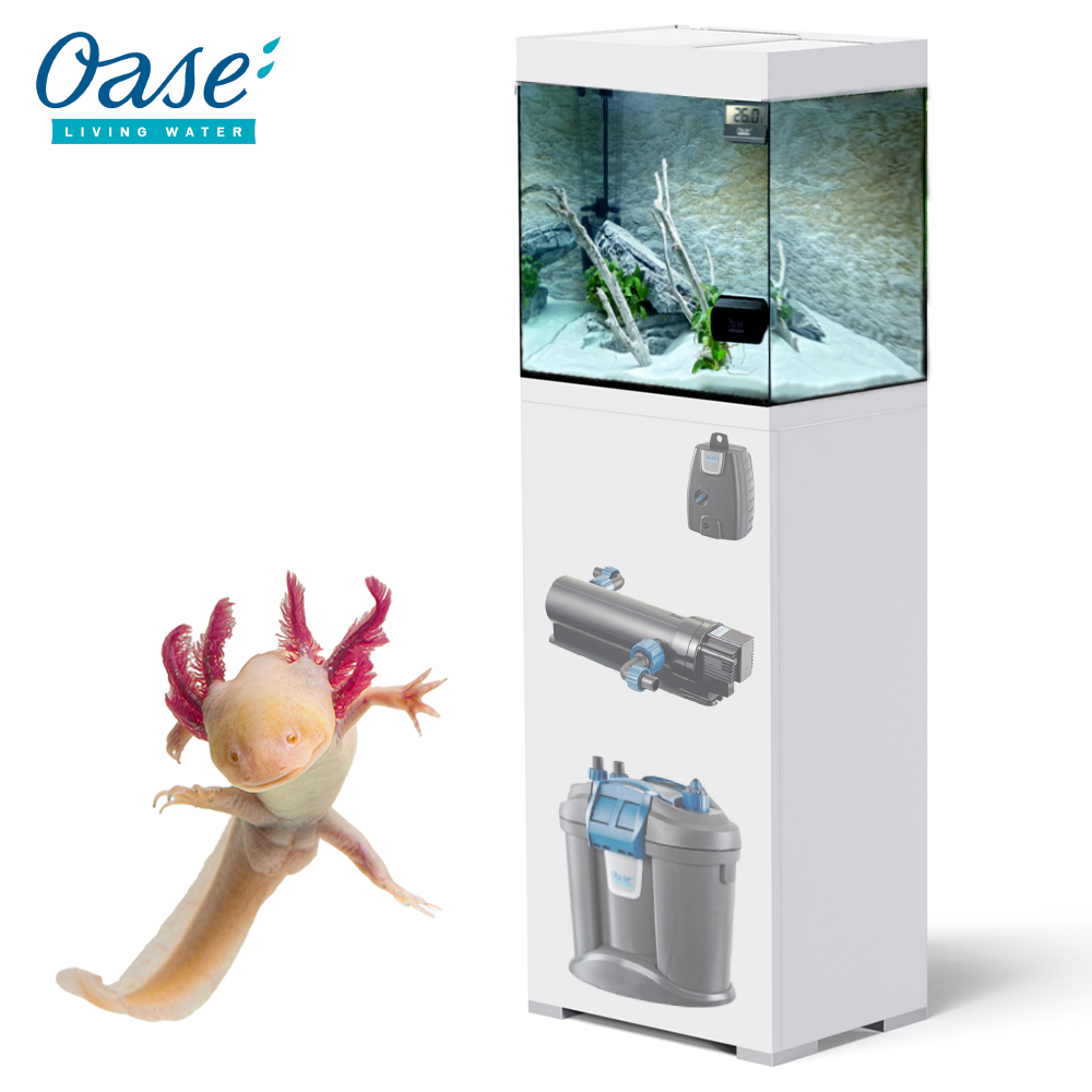 Acquario per axolotl Styleline 75