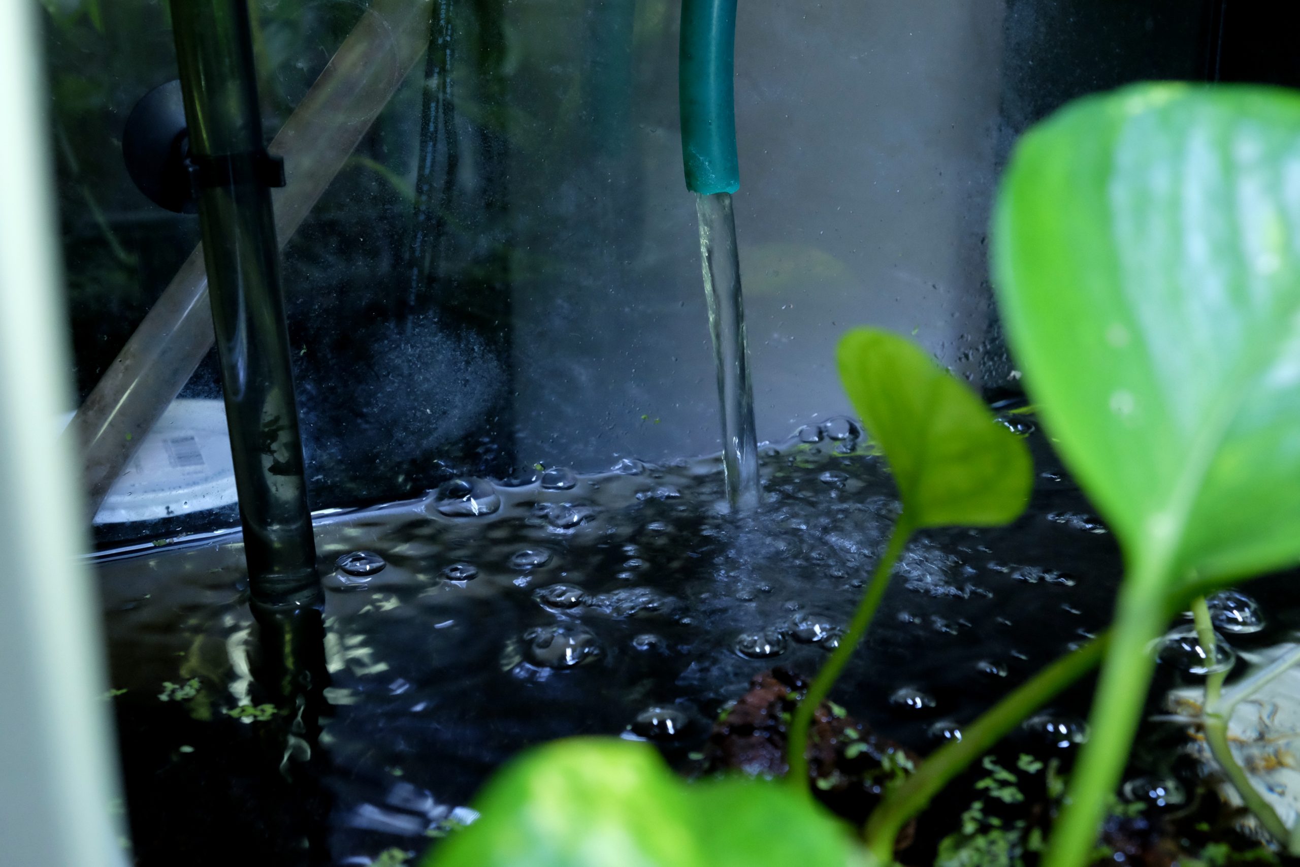 filtro esterno acquario
