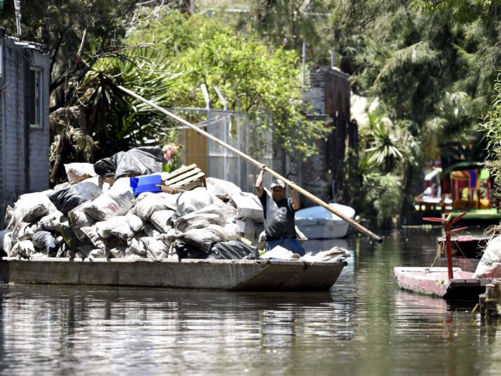 inquinamento axolotl lago xochimilco