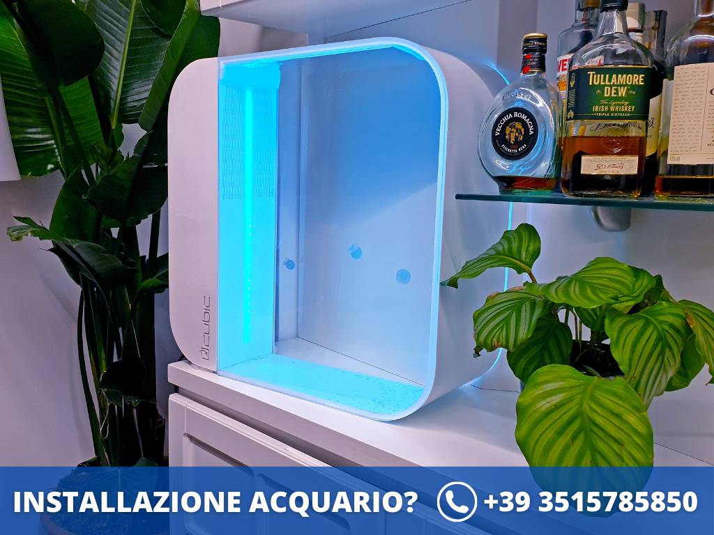 installazione acquario milano