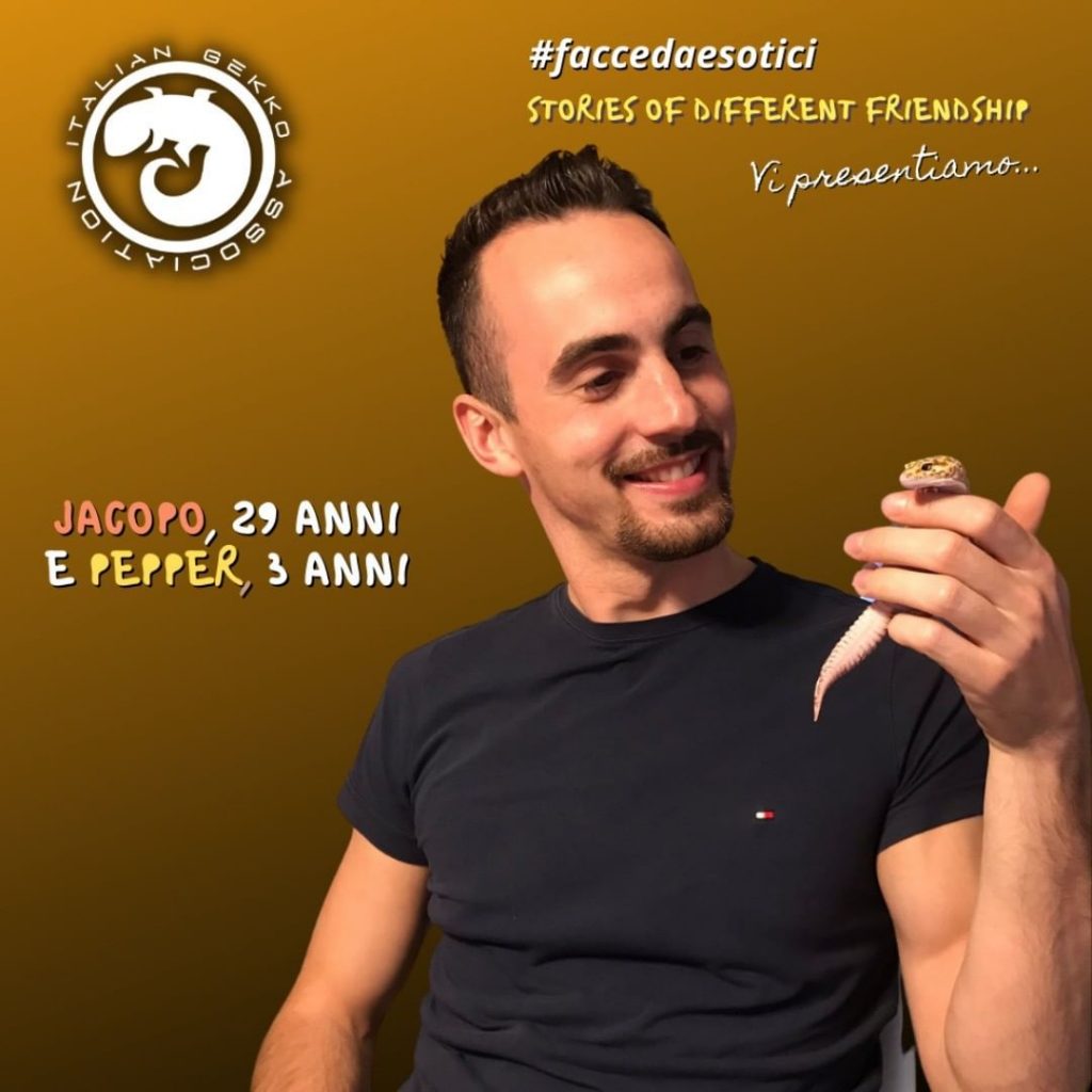 animali lav nuove pandemie