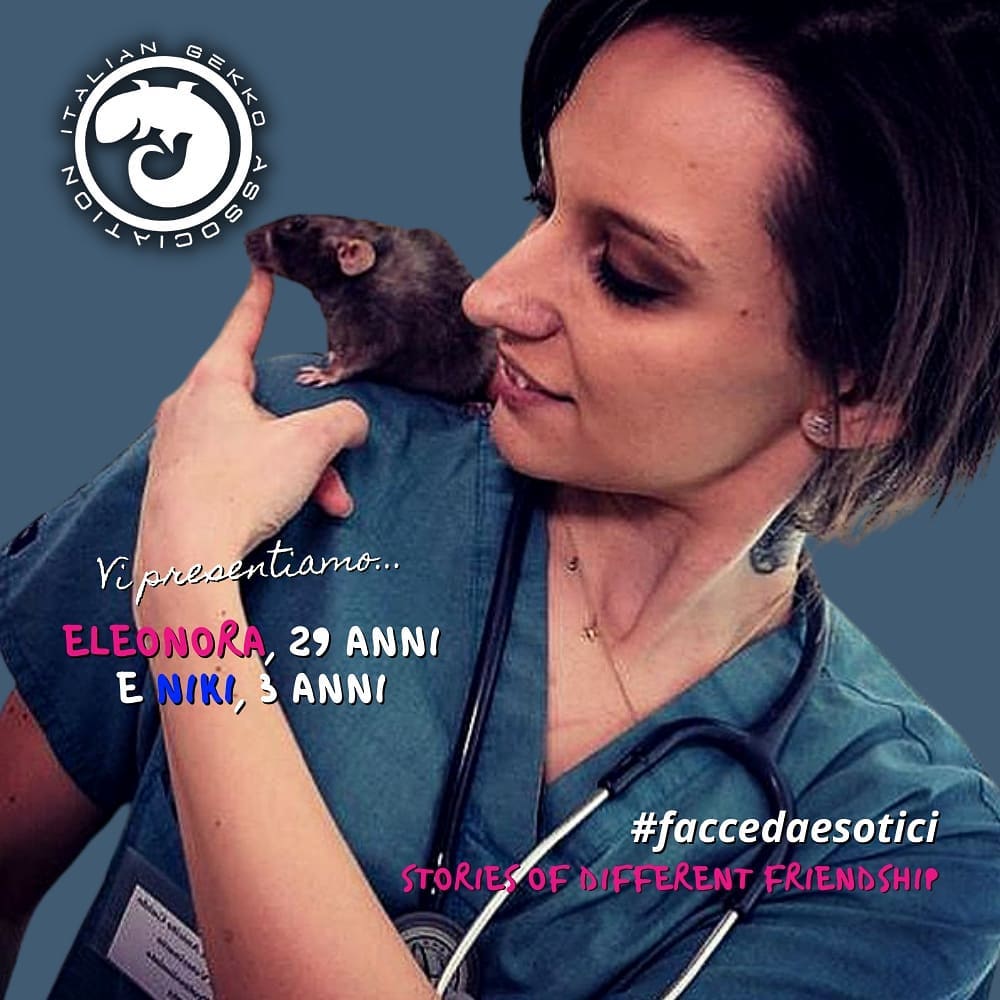 stop commercio animali esotici