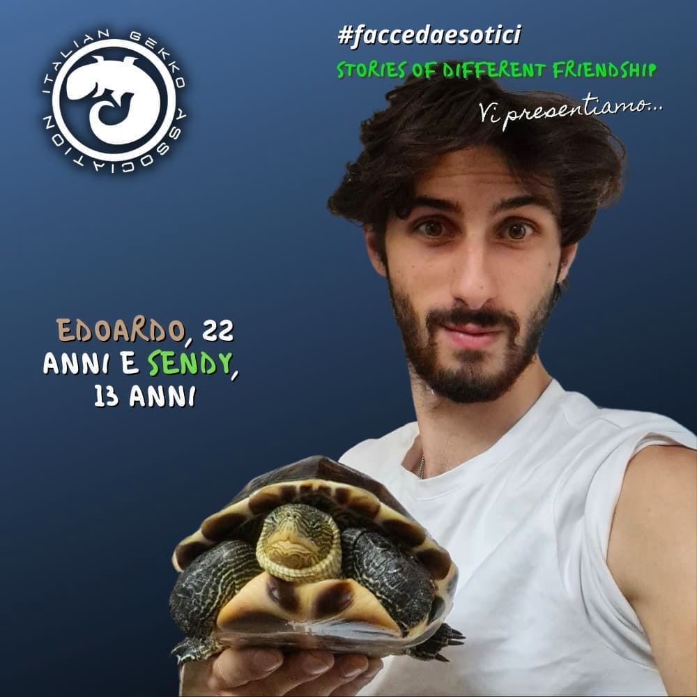 stop commercio animali esotici