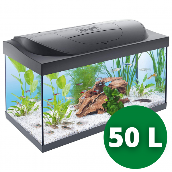 acquario 50 litri vendita