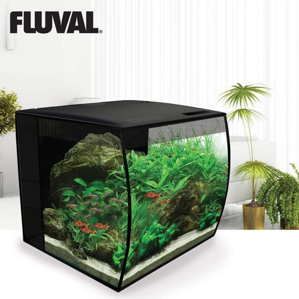 acquario fluval curvo