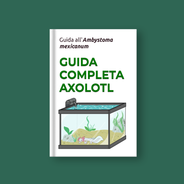 axolotl libro