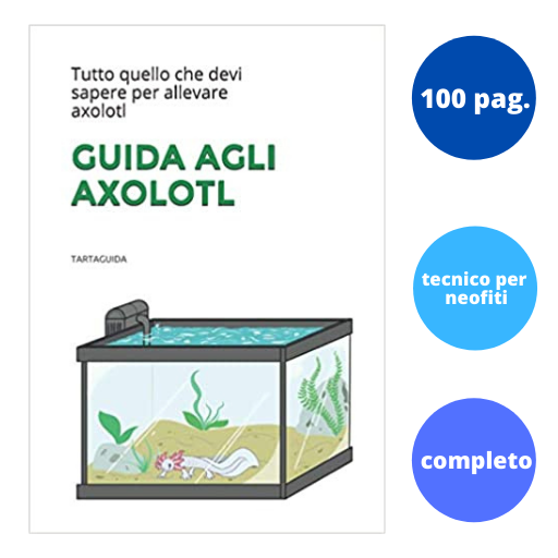 libro axolotl