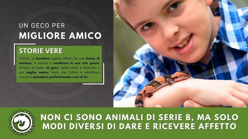 petizione animali esotici