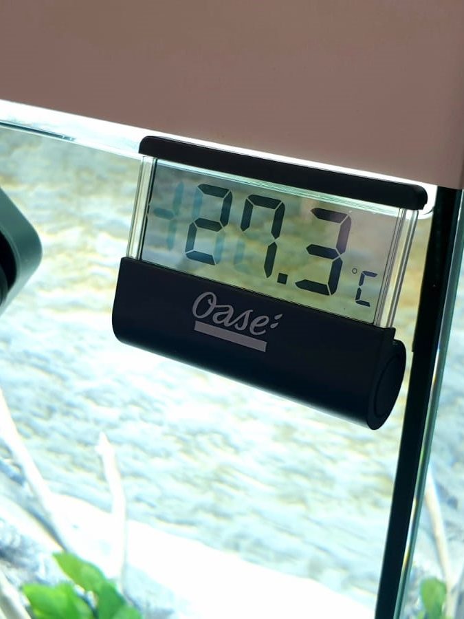 termometro digitale acquario