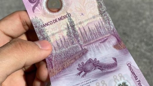 banconota-axolotl-50-pesos
