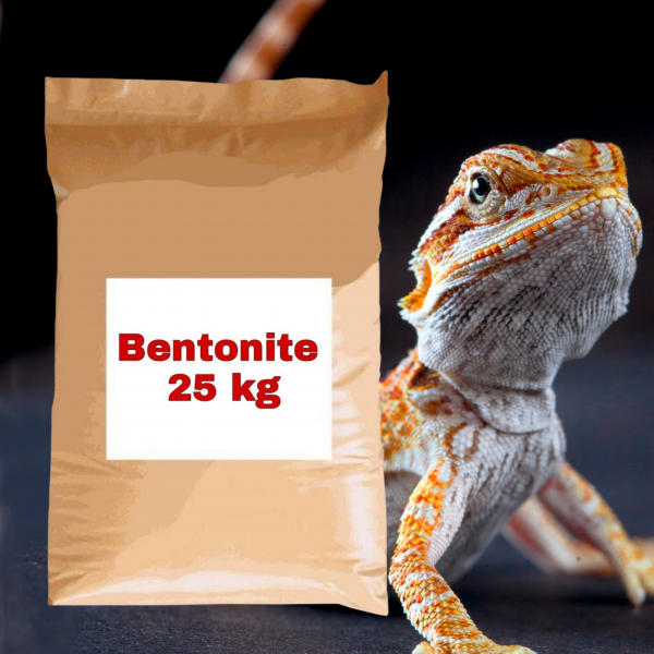 bentonite per rettili