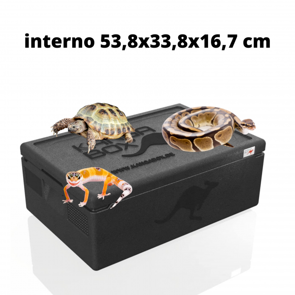 box isotermico rettili