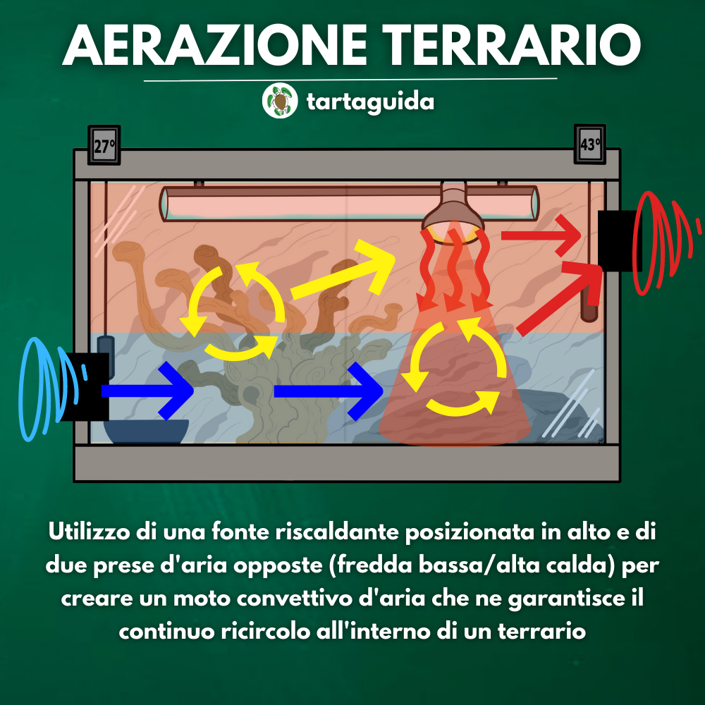 aerazione terrari