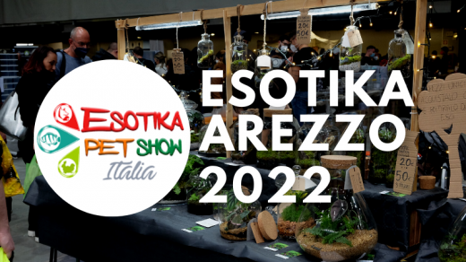 esotika arezzo 2022