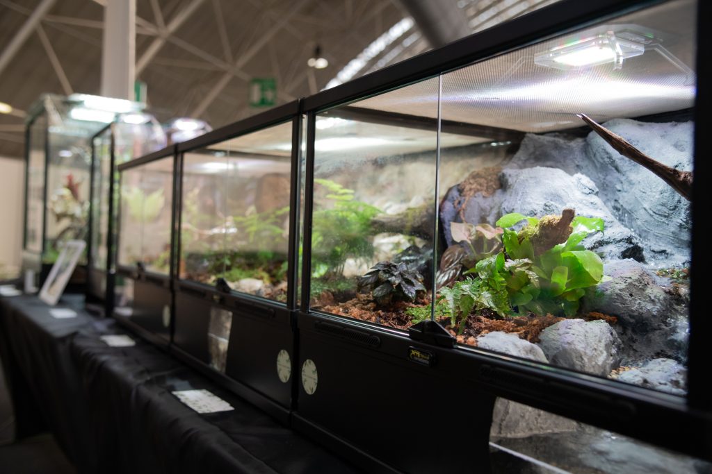 terraexpo esotikanovegro 2022