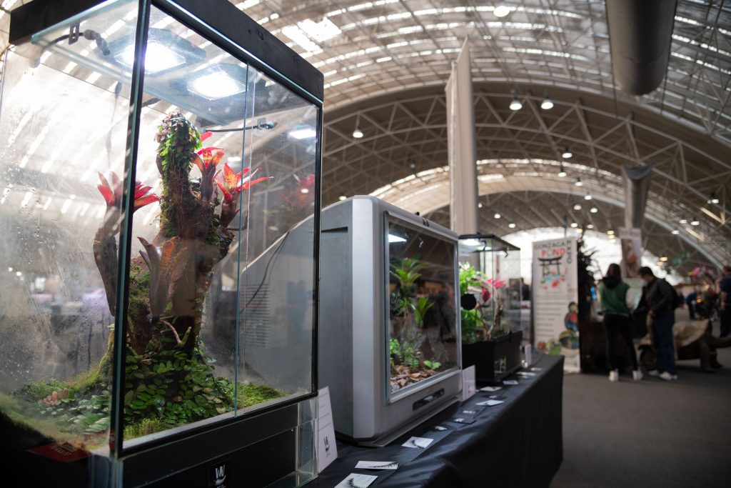 terraexpo esotikanovegro 2022