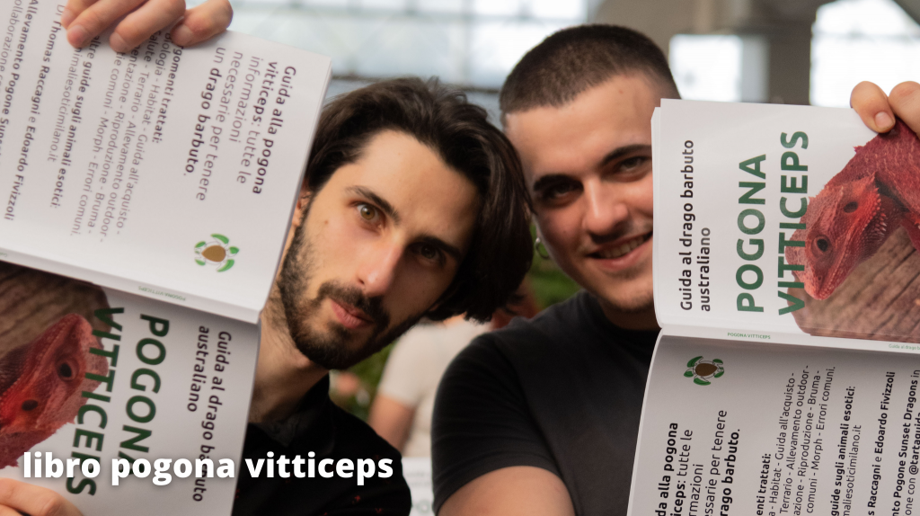 libro pogona vitticeps