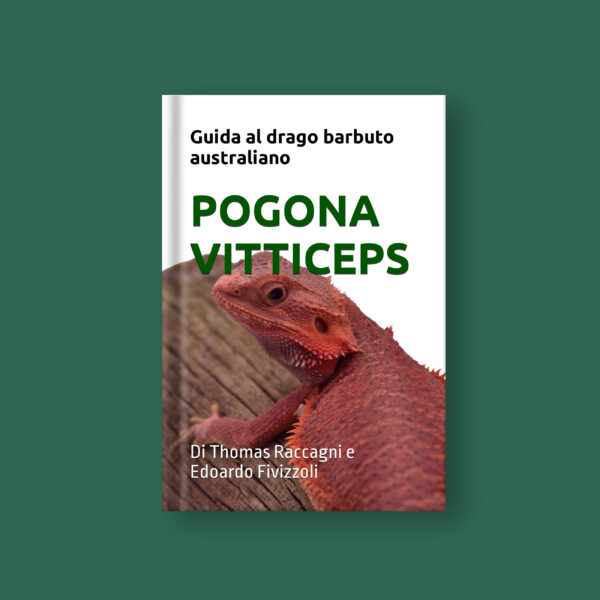 manuale pogona vitticeps