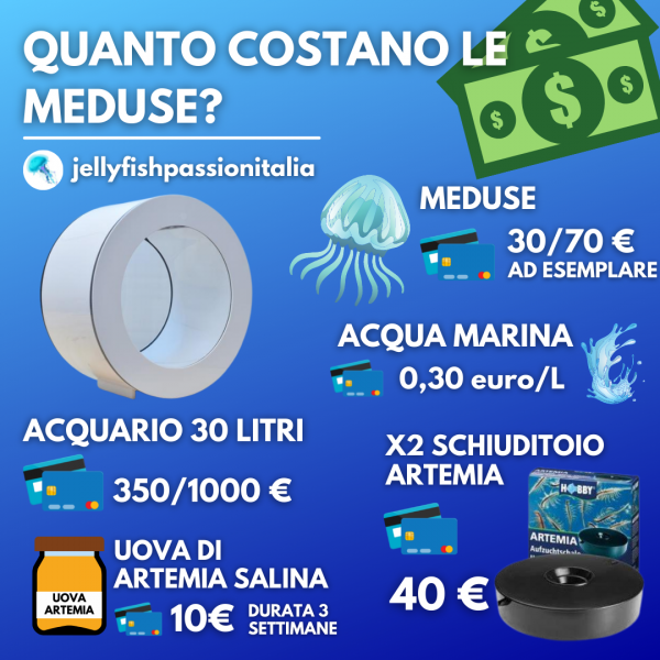 meduse acquario quanto costano