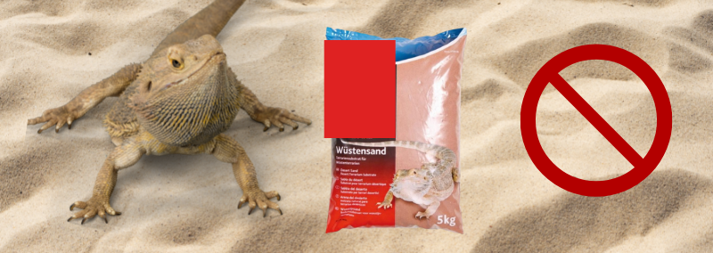 substrato pogona vitticeps