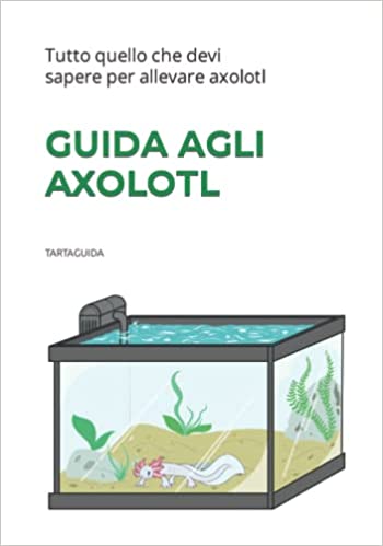 Regalo axolotl assolotto