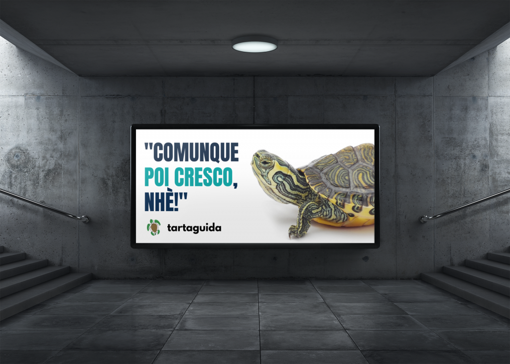 tarta guida edoardo fivizzoli