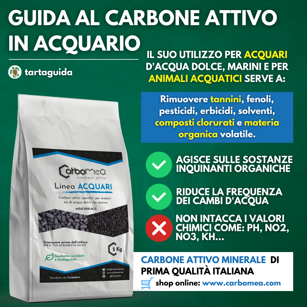 Carbone attivo acquario: a cosa serve? - Animali Esotici Milano