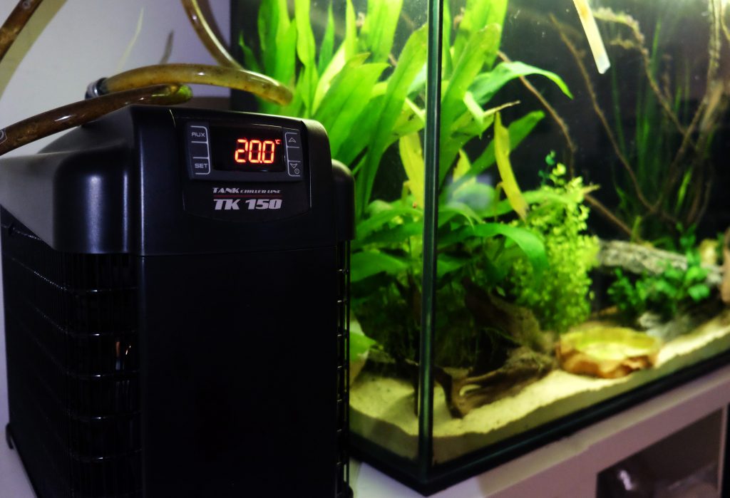 refrigeratore axolotl