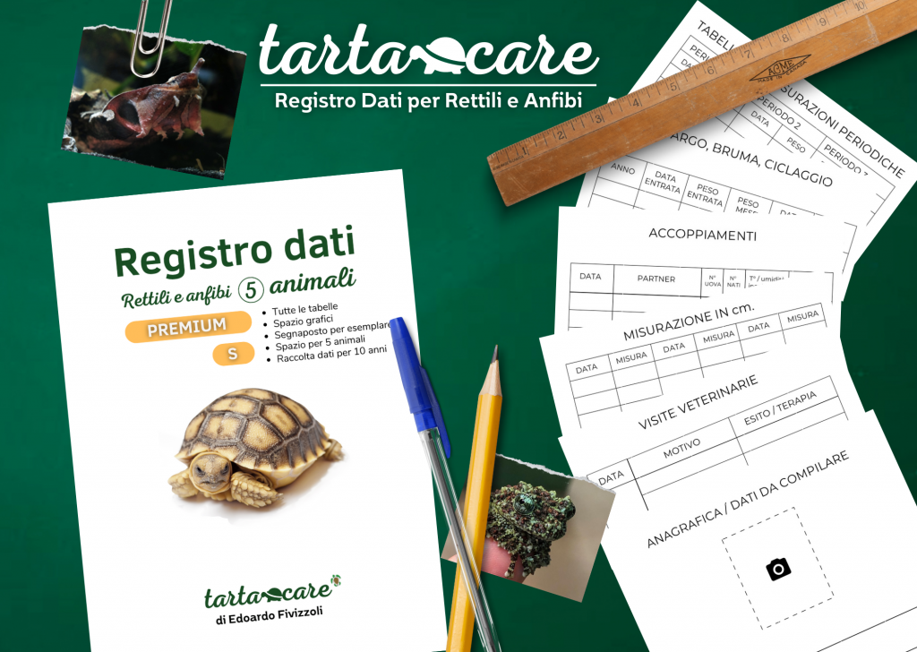 registro dati rettili tartacare