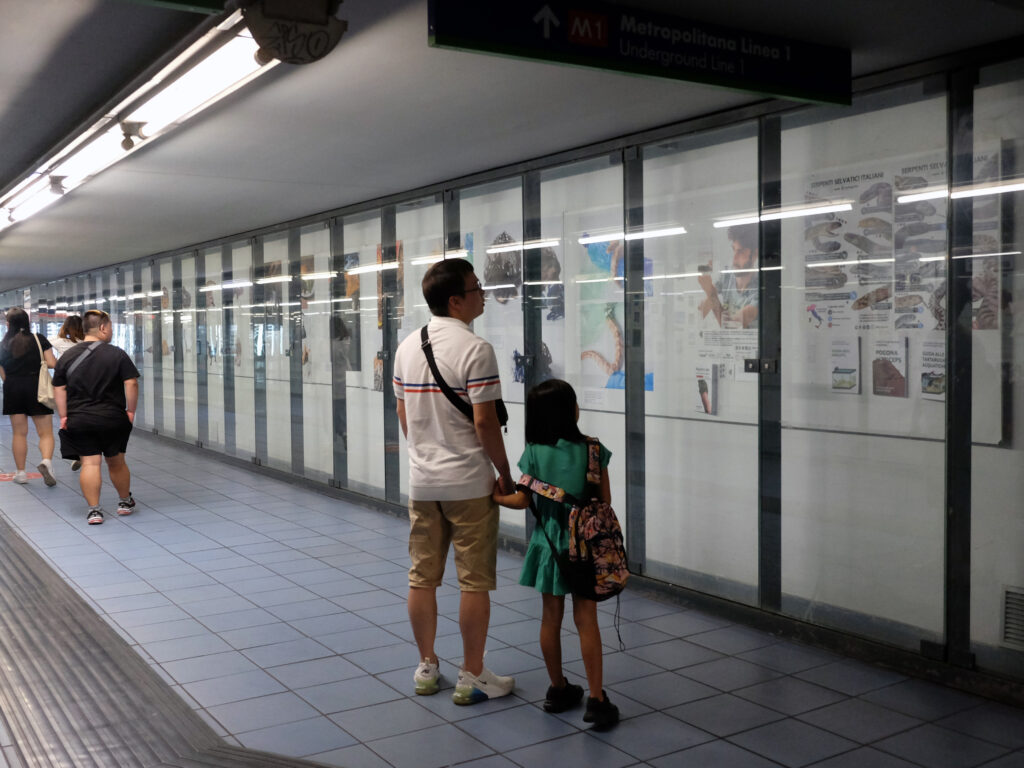 mostra rettili milano porta venezia