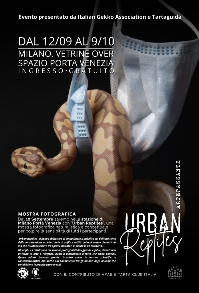 Urban reptiles mostra fotografica