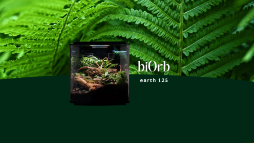 biorb earth 125