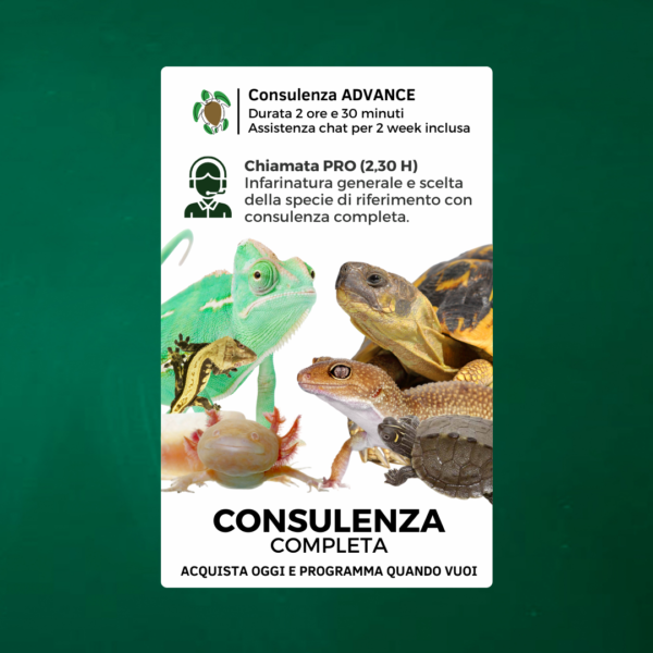 consulenza animali esotici