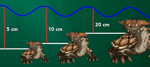 Chelus fimbriatus altezza dell'acqua