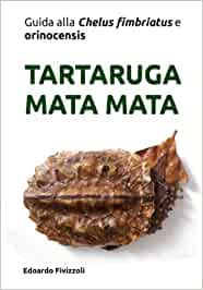 tartaruga mata mata libro