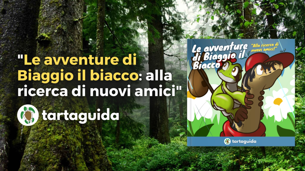 Libro per bambini