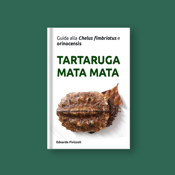 Libro tartaruga mata mata