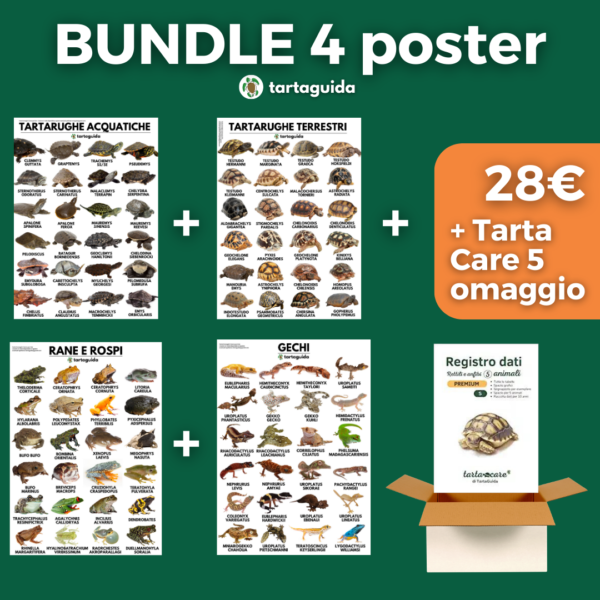 bundle 4 poster