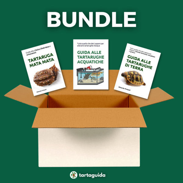 Bundle