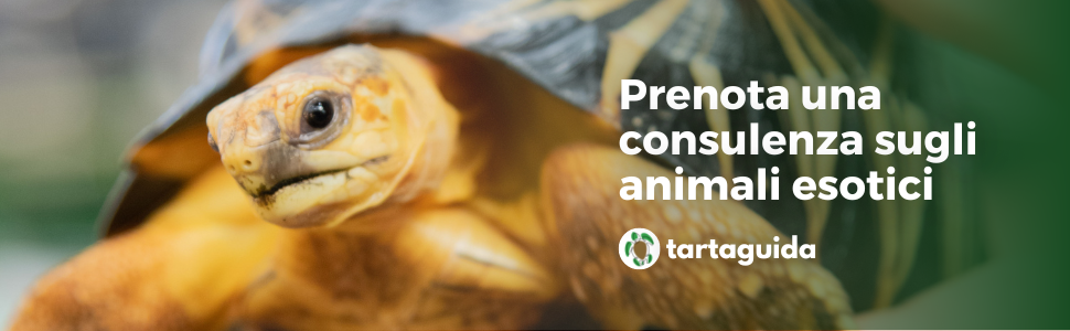 consulenze animali esotici