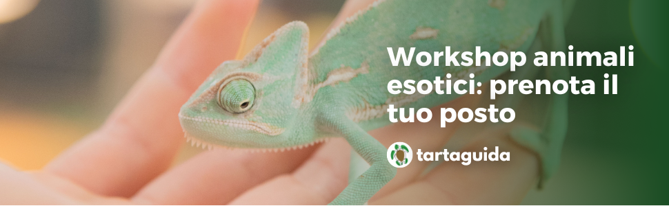 corsi animali esotici