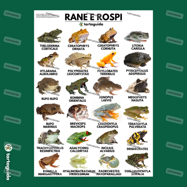 poster rane esotiche