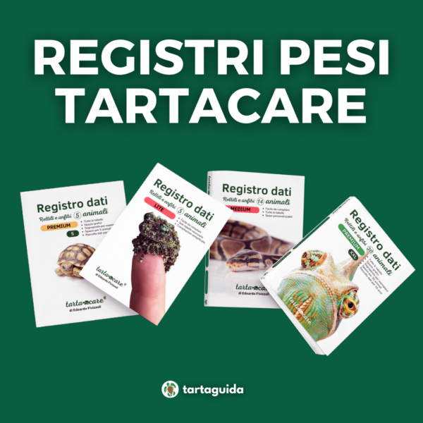 Registro dati rettili