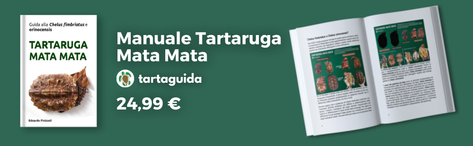 Manuale tartaruga mata mata