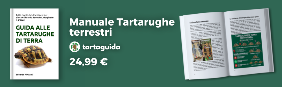 Manuale tartarughe terrestri