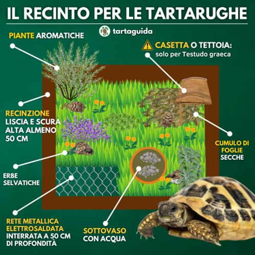 Recinto tartarughe terra