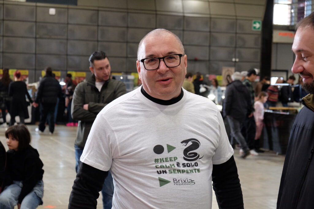 gabor dalmati