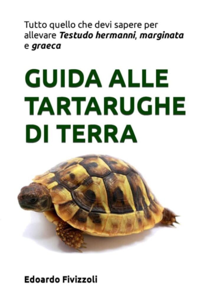 libro tartarughe di terra